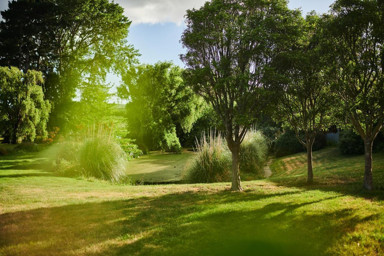 Parehua Resort Martinborough Pokoj fotografie