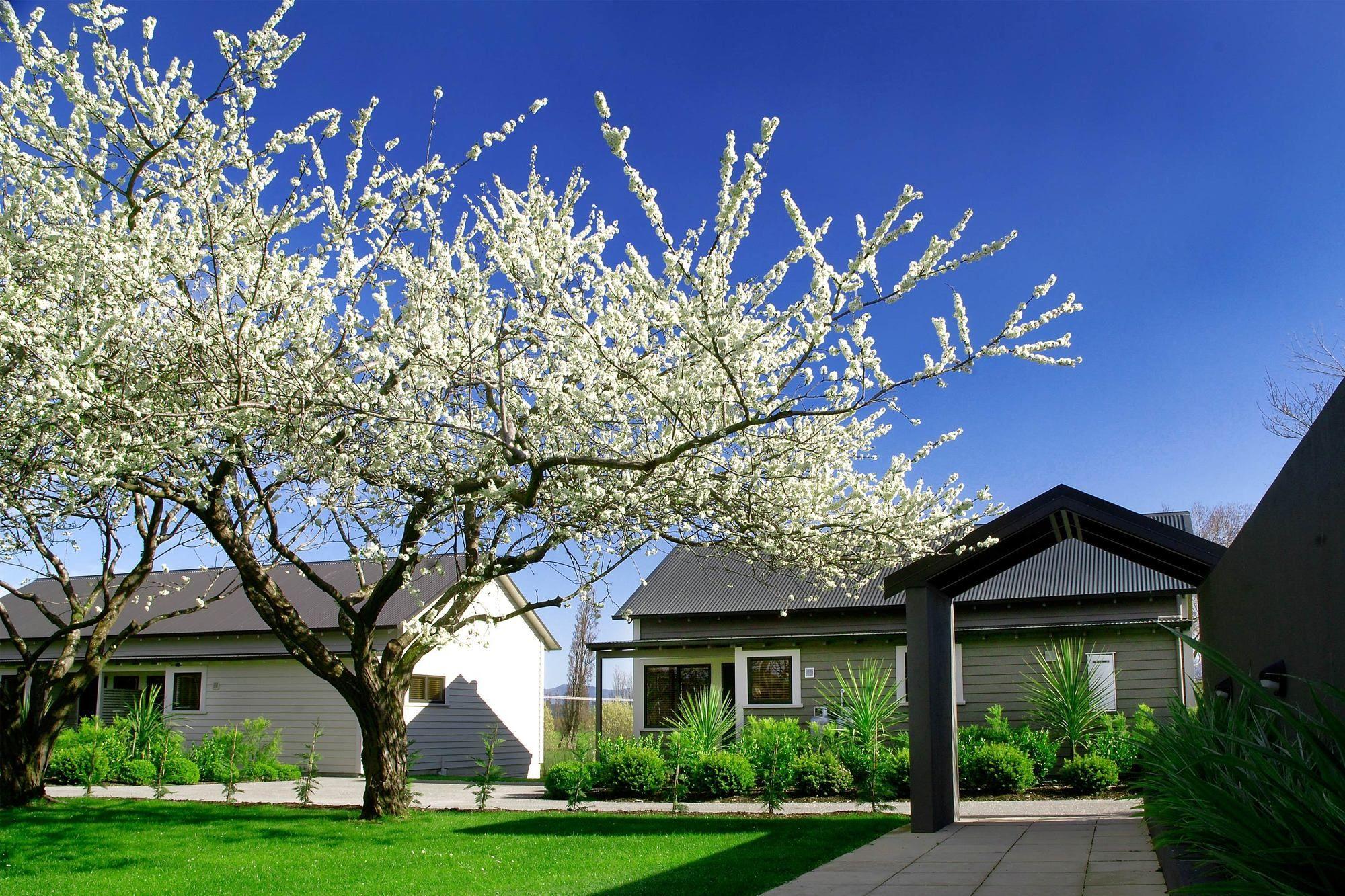 Parehua Resort Martinborough Exteriér fotografie Residential area in the town